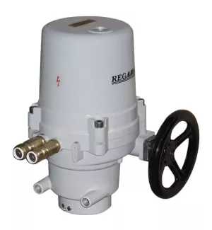 Electric multi-turn actuator UM 1